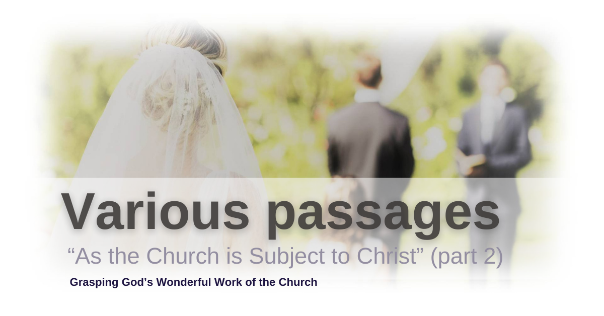 As the Church is Subject to Christ - Part 2 Image