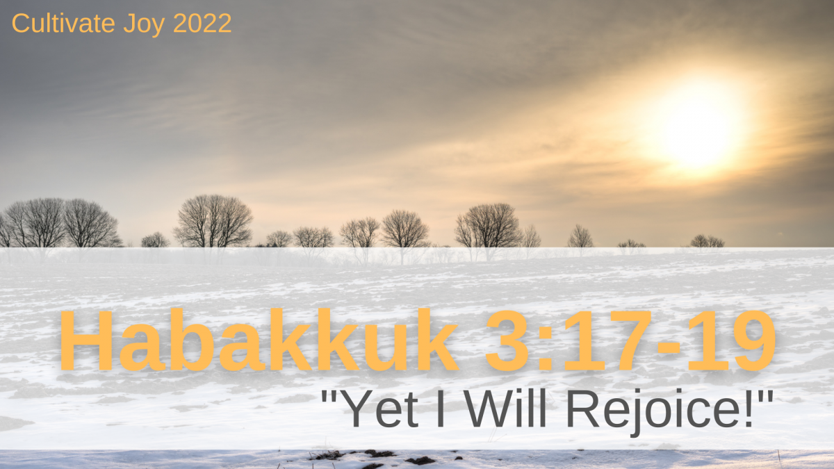 Joy - Yet I Will Rejoice Image