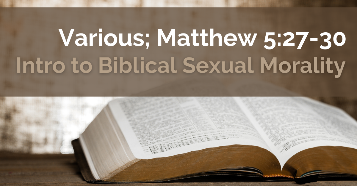 Intro to Biblical Sexual Morality Image
