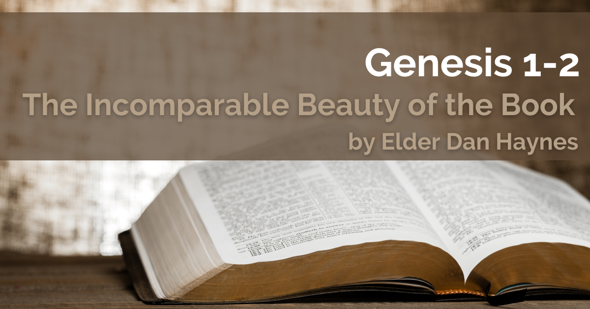 The Incomparable Beauty of the Book Image